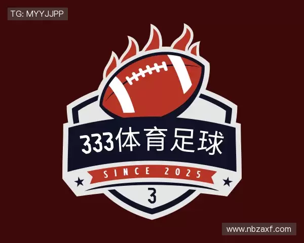 认识333体育